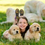 Choosing the Right Dog Breed for Your Life and Lifestyle
